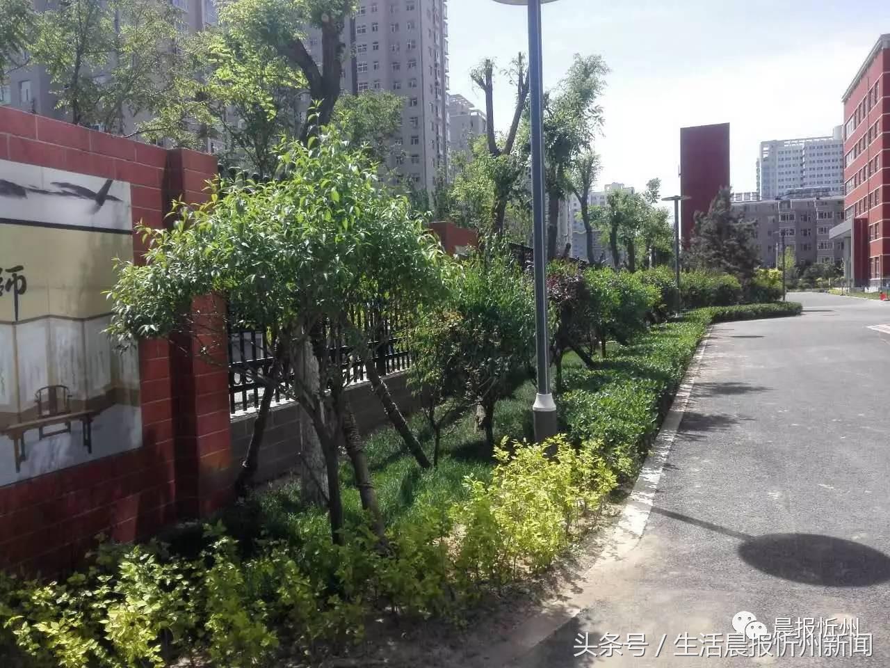 忻州长征路小学的环境,忻州长征路小学好吗