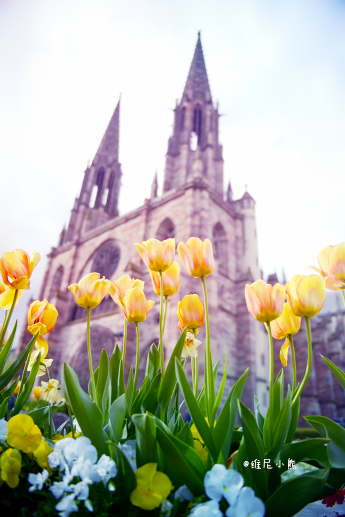 乘着邮轮奢华浪漫游欧洲四国