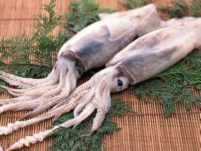 大虾的营养价值表,大虾的营养价值和鸡蛋比哪个更好