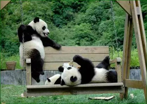 客家文化体验馆,客家五龙风情园