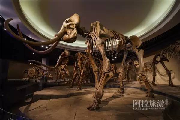 热气缭绕的温泉旅行,夏日温泉旅游推荐