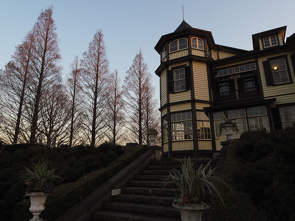 奥林巴斯penf画质怎么样,奥林巴斯PEN-F怎么拍摄视频