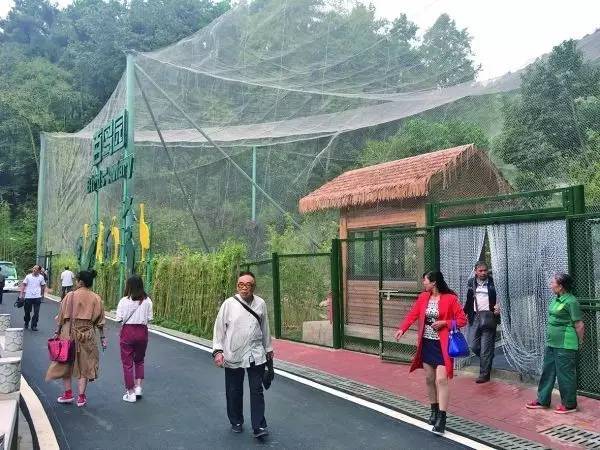 老聂的故事,老聂讲故事大全