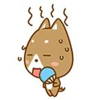 惠州惠城游泳馆,一起来游泳吧夏季特辑