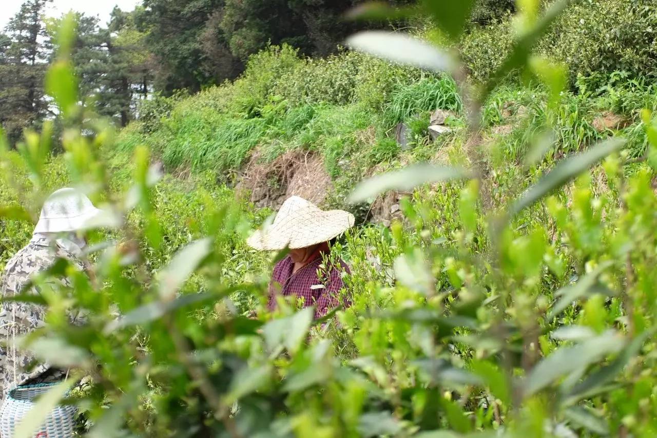 母亲节怎么送礼物给妈妈,母亲节到了你给你妈妈买什么
