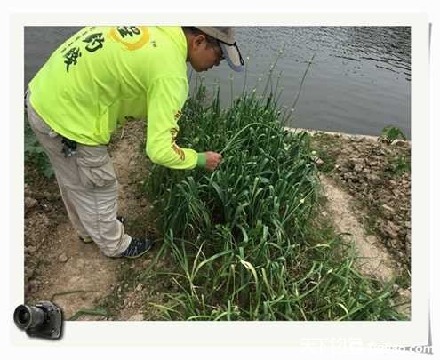 老地方钓鱼不好钓,五一抓鱼捕虾好去处