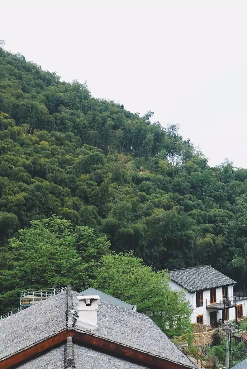 母亲节怎么送礼物给妈妈,母亲节到了你给你妈妈买什么