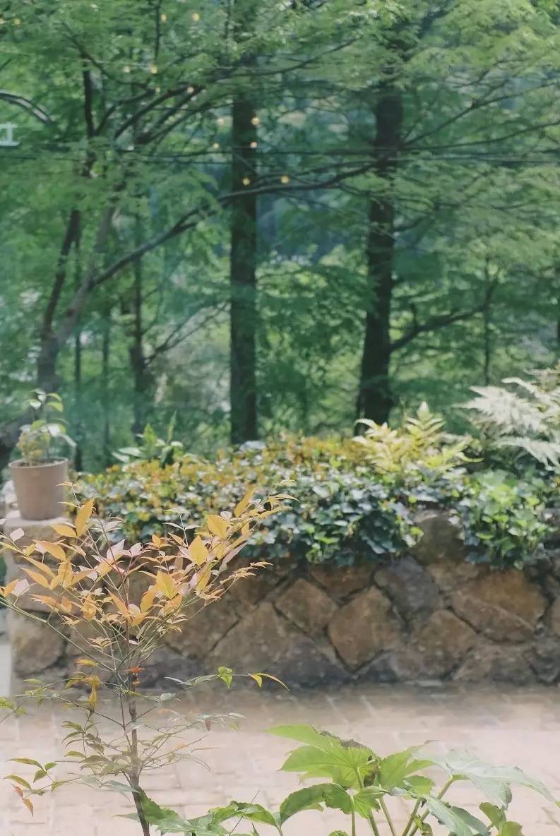 母亲节怎么送礼物给妈妈,母亲节到了你给你妈妈买什么