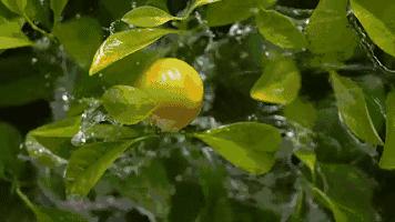 不能忍！上海女子遭“最抠门”男友，一个塑料瓶子都不能放过！