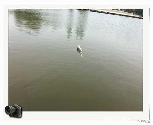 老地方钓鱼不好钓,五一抓鱼捕虾好去处