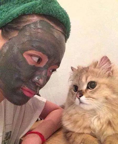 谁说烂泥扶不上墙讽刺图片,谁说烂泥扶不上墙的