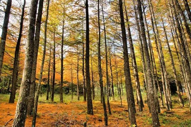 适合周末打卡的旅游胜地,周末旅游打卡圣地