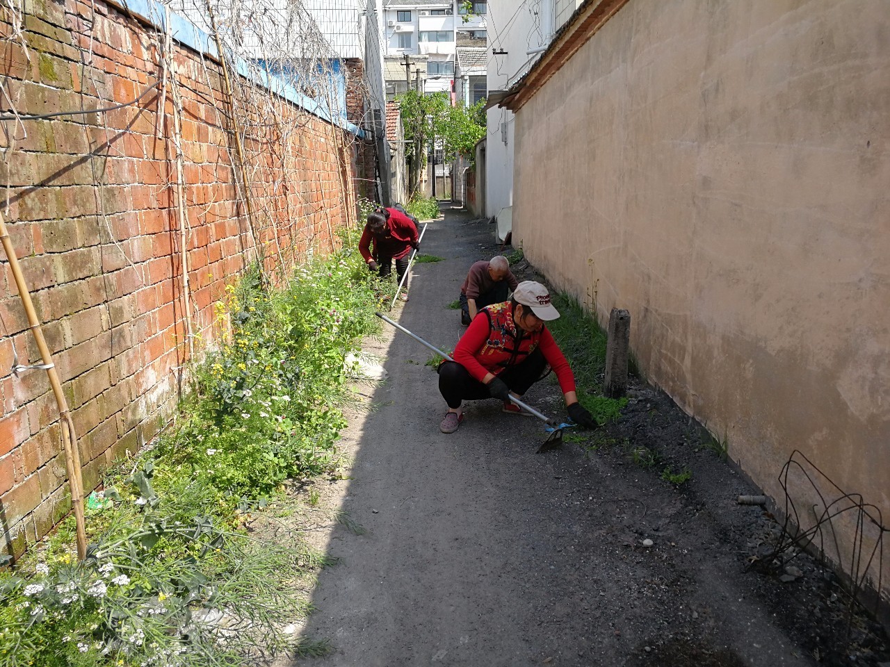 五月，在如城丨你走过路过可能错过的村居活动！