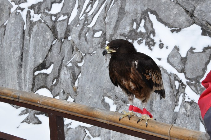 玉龙雪山纳西人心中的神山,玉龙雪山是当地纳西族的神山