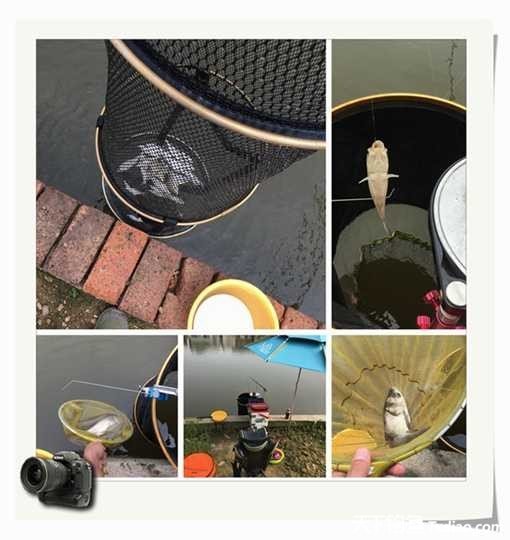 老地方钓鱼不好钓,五一抓鱼捕虾好去处