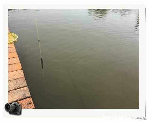 老地方钓鱼不好钓,五一抓鱼捕虾好去处
