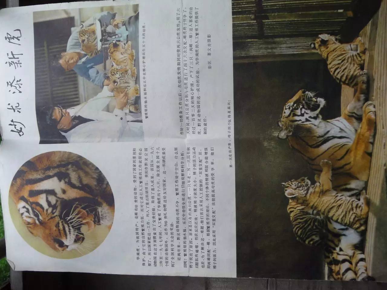 老聂的故事,老聂讲故事大全