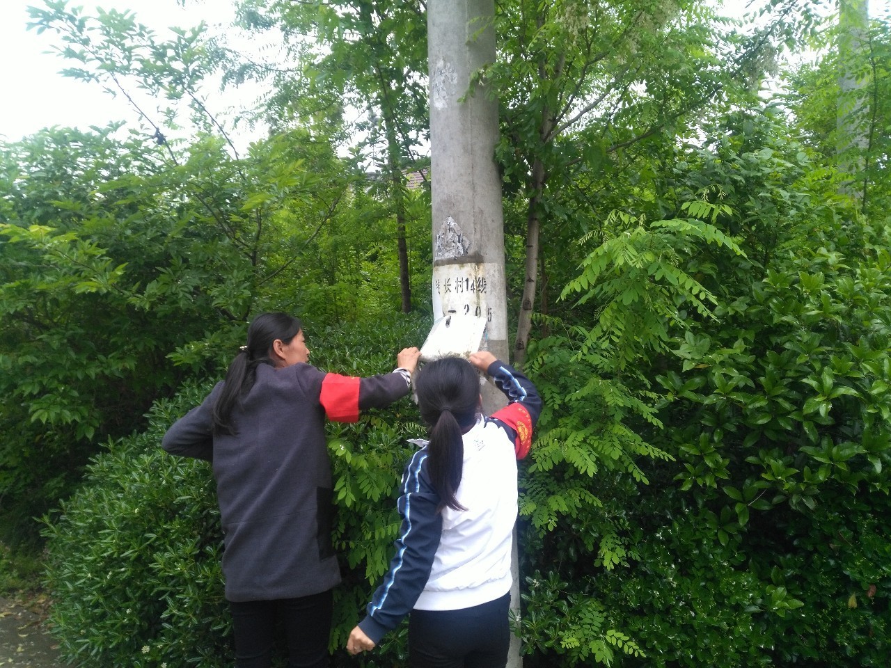 五月，在如城丨你走过路过可能错过的村居活动！