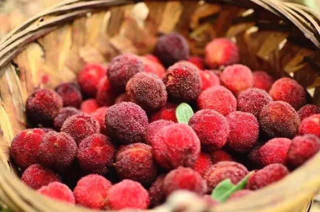 周末,宅在家里不如开始做冰棒吧!想吃什么口味自己选,这个夏天才不算浪费!