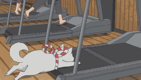 冬病夏治科学吗,中医虚寒症有哪些