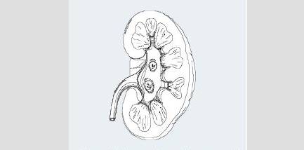 冬病夏治科学吗,中医虚寒症有哪些