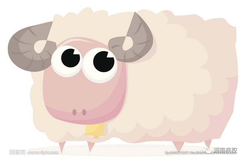 湖南人宵夜吃什么最过瘾,湖南人吃爆辣烧烤