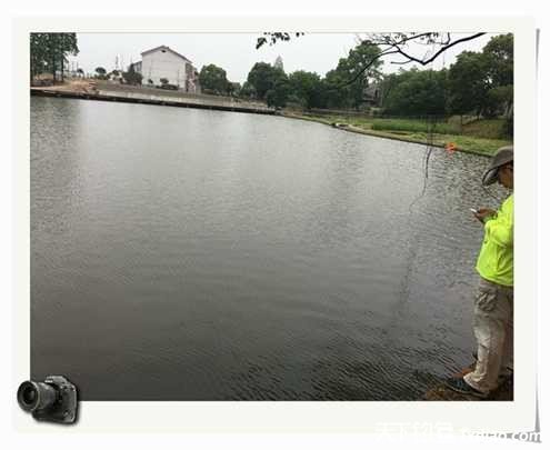 老地方钓鱼不好钓,五一抓鱼捕虾好去处