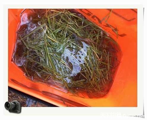 老地方钓鱼不好钓,五一抓鱼捕虾好去处