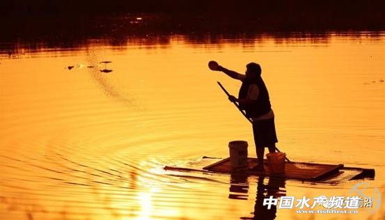 日供鲤鱼八千条,这家公司怎样把冷门的鲤鱼逆转成餐饮热点?