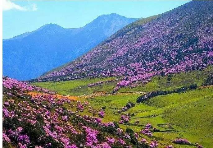 朋友圈霸屏的男人是谁啊,霸屏朋友圈的男人直播