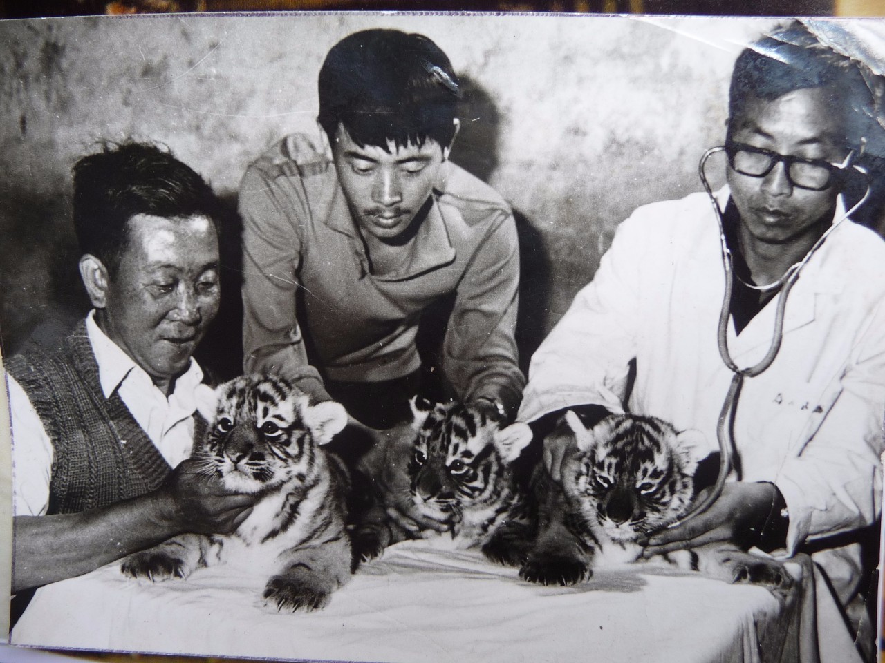 老聂的故事,老聂讲故事大全