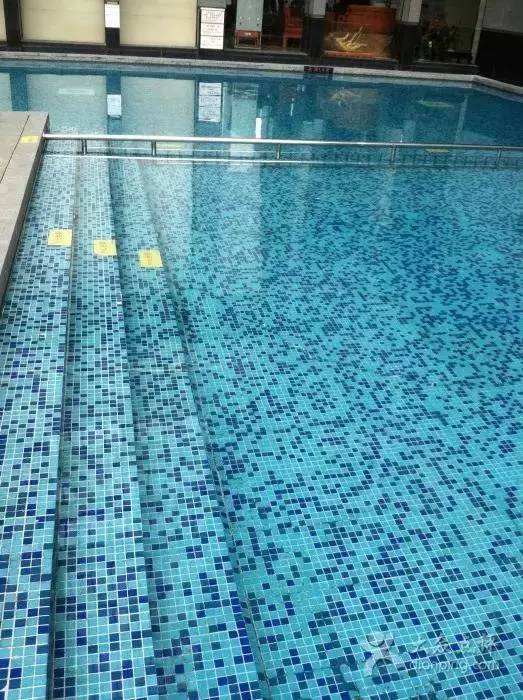 惠州惠城游泳馆,一起来游泳吧夏季特辑