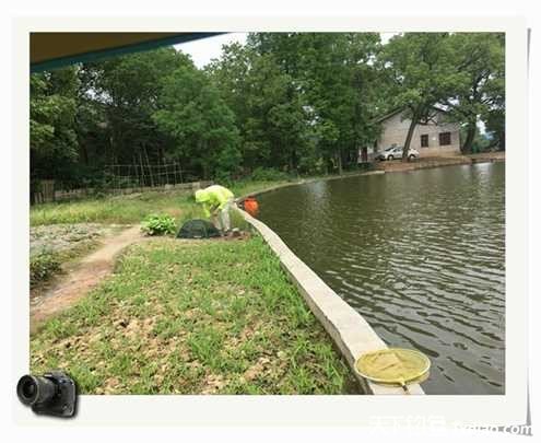 老地方钓鱼不好钓,五一抓鱼捕虾好去处