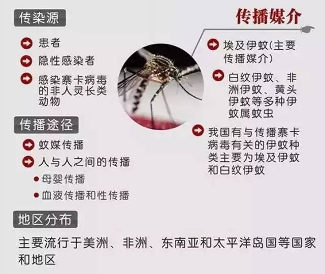 缺乏有效治疗手段的寨卡病毒,遇到了应该这样做