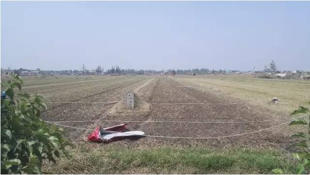 这一代人的怕和爱,这一代人的怕与爱罗振宇