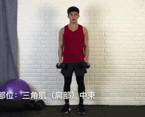 哑铃塑形动作大全,20斤哑铃练手臂的全套动作