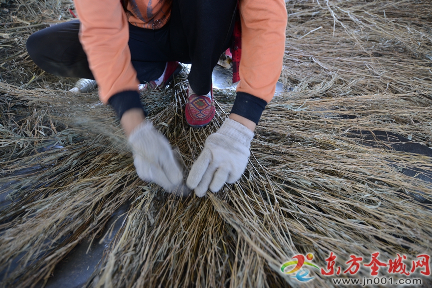 小扫帚勇闯大世界