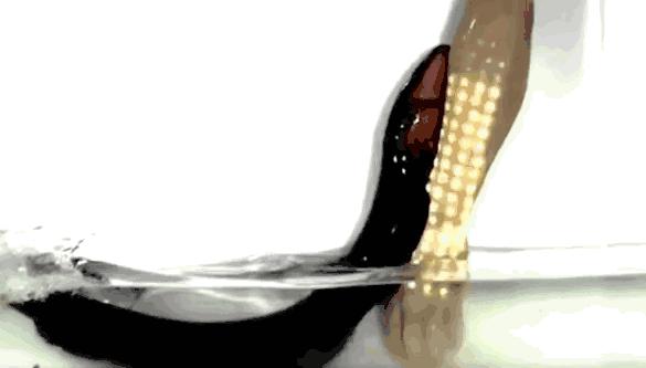 耳鬓厮磨的神经学解释是这样的