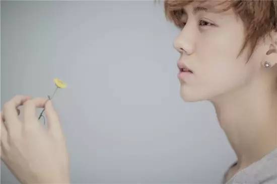 鹿晗森林里的小鹿,鹿晗杨树林