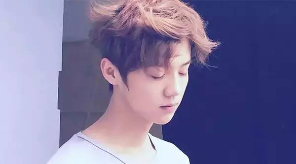 鹿晗森林里的小鹿,鹿晗杨树林