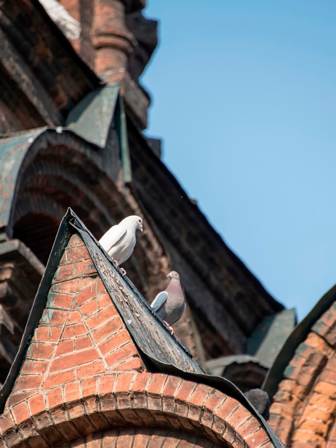 回忆哈尔滨老建筑,哈尔滨老建筑探访