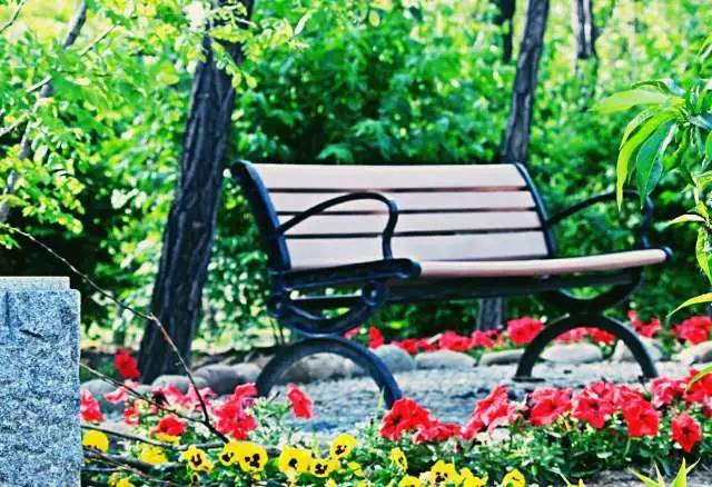 路过的风景抖音,路过的风景古筝版