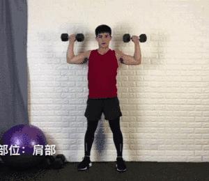 哑铃塑形动作大全,20斤哑铃练手臂的全套动作