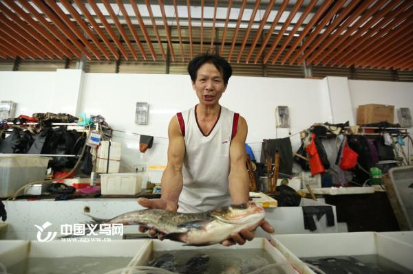 以手为秤的视频,以手为秤