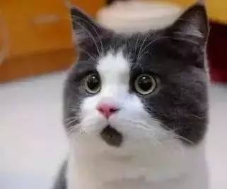 一觉醒来就成面瘫,一觉醒来变成面瘫男孩