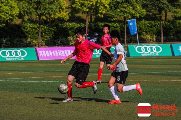 信阳足球市长杯2024文件,2019年信阳市长杯