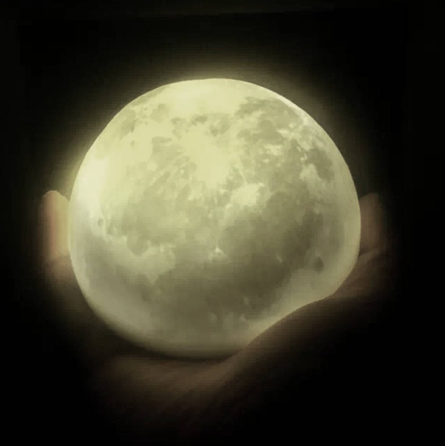 520爱要勇敢说出口,520爱要大声说出来片头