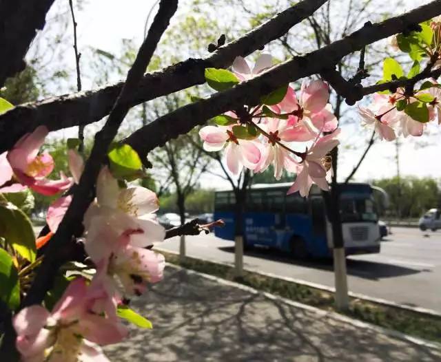 路过的风景抖音,路过的风景古筝版