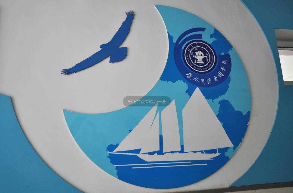 新优质学校展示会,新优质学校风采展示