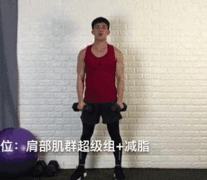 哑铃塑形动作大全,20斤哑铃练手臂的全套动作